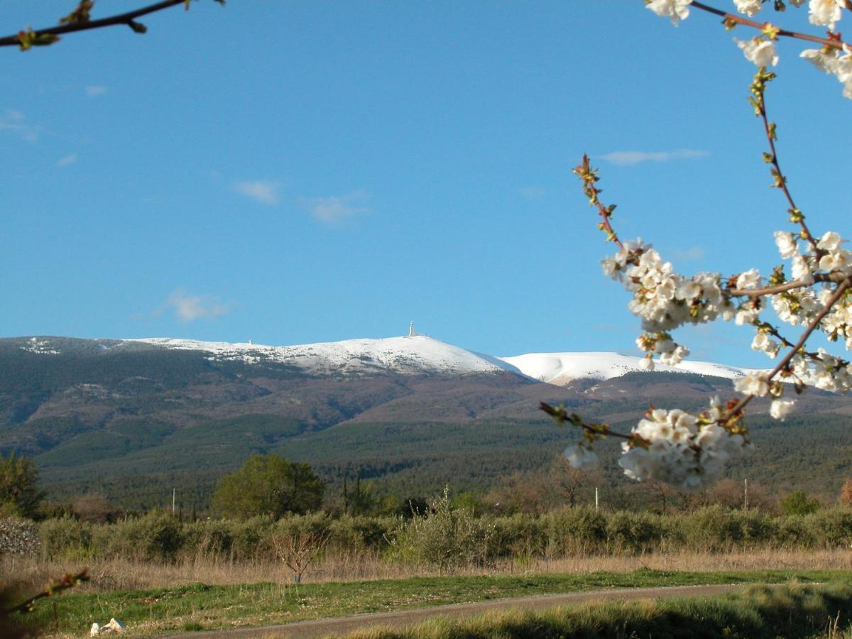 Mas Boudeissoun - Coeur De Cerise - Baignade A 600 M Villa Mormoiron Kültér fotó